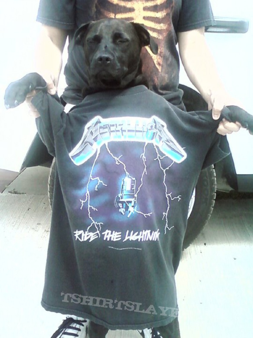 Metallica Metal Dog | TShirtSlayer TShirt and BattleJacket Gallery